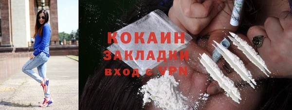 бошки Алексин