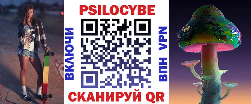 Псилоцибиновые грибы Psilocybe  Осинники 