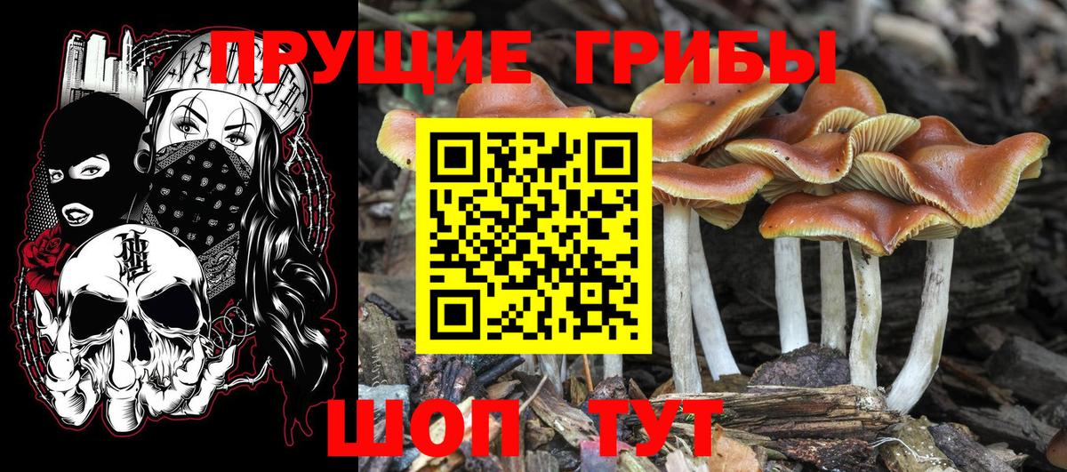 A PVP Осинники
