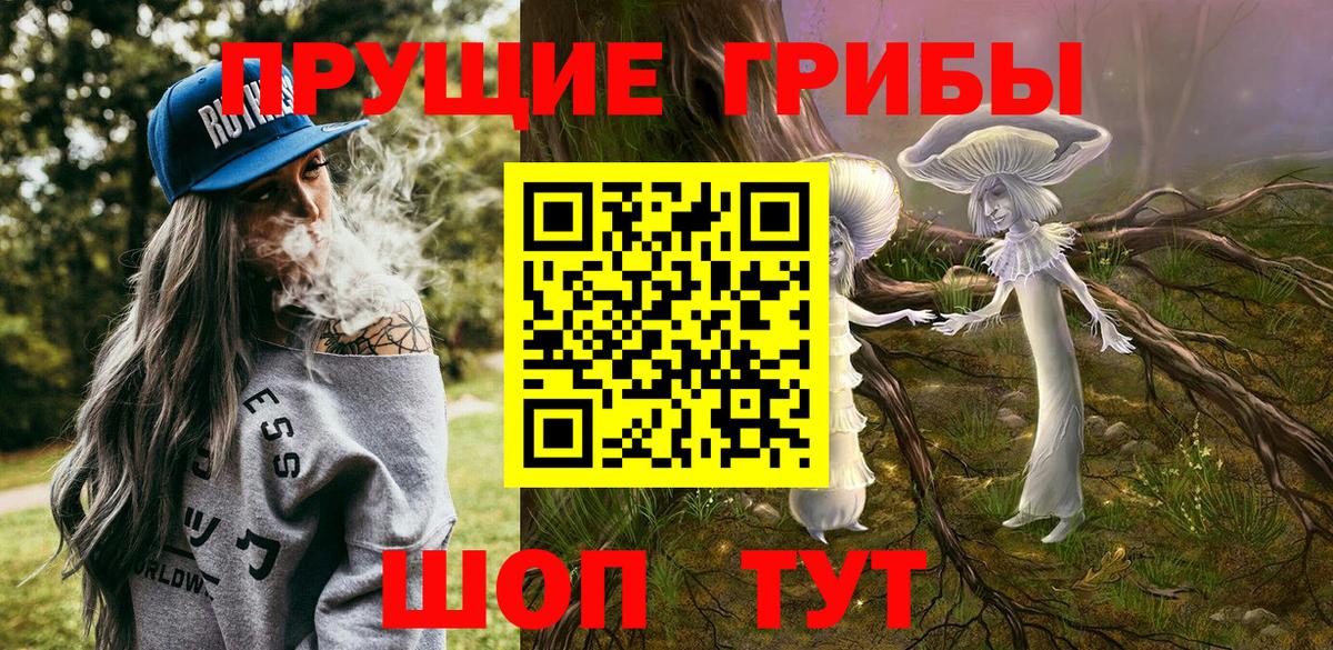 Галлюциногенные грибы ЛСД  Вход с VPN  Осинники 