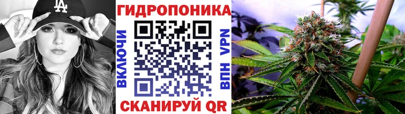Шишки марихуана OG Kush  мориарти клад  Осинники 